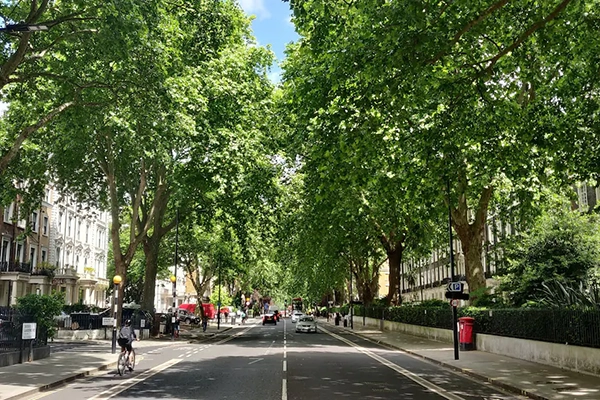 Hotel Indigo London Hyde Park